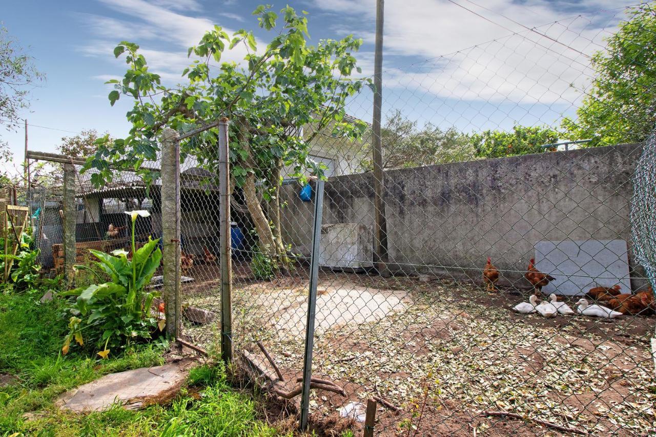 Apartamento Bali Com Piscina Apúlia Eksteriør billede